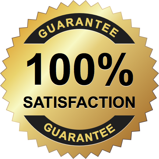 логотип 100 качество. гарантия 100 процентов. высокое качество продукции. сделай качество 100. сделай качество 100.